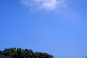 静岡市葵区に新しくオープンした家族葬のタクセル長沼｜安心・低価格の家族葬専門斎場紹介