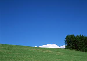 焼津市で信頼できる葬儀サービスを提供する富士葬祭焼津の詳細ガイド