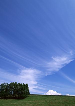 静岡県焼津市における家族葬専用斎場「家族葬のタクセル焼津」のご紹介と特徴