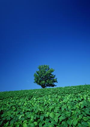 浜松市の安心・信頼の葬儀場【富士葬祭 高林】の特徴とサービス内容