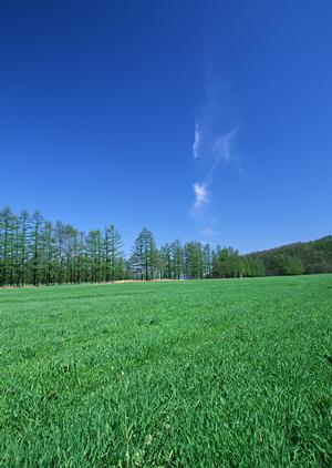 品川での永代供養を徹底解説!納骨堂の選び方から料金までの完全ガイド