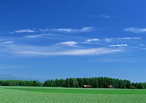 静岡県を中心に展開!家族葬のタクセルが提供する安心・低価格の葬儀サービス詳細ガイド