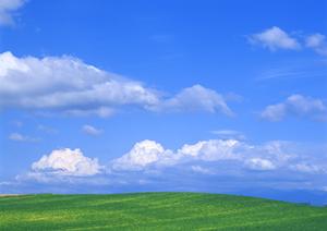アクセス抜群！大阪市内・なんば周辺のおすすめ墓地と納骨堂完全ガイド