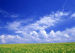 静岡市の家族葬とお見送りに最適な葬儀場【富士葬祭 双樹】の特徴と店舗情報