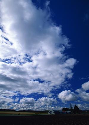 静岡市清水区の家族葬専門斎場 | 家族葬のタクセル北矢部町の魅力とサービス内容