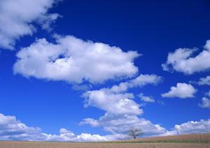 静岡市で安心して任せられる葬儀場【富士葬祭 慈悲尾】の特徴とサービス内容完全解説