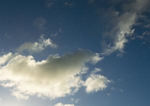 静岡市駿河区の安心葬儀を提供する富士葬祭 みずほの特徴とサービス内容